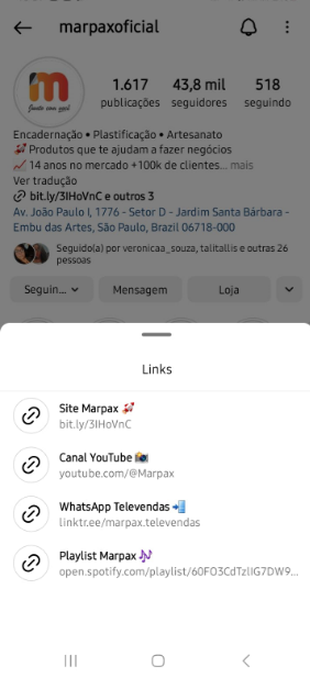 Link na bio para instagram